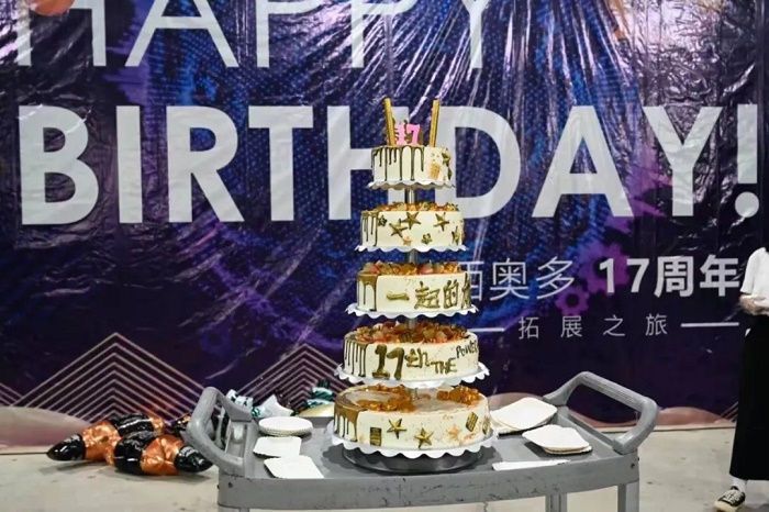 9170官方金沙入口登录17周岁生日蛋糕